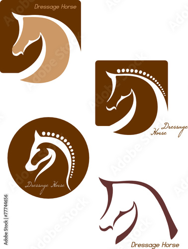 Horses 02