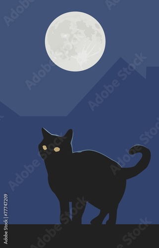 Black Cat & Full Moon