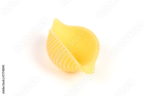 conchiglie pasta shell