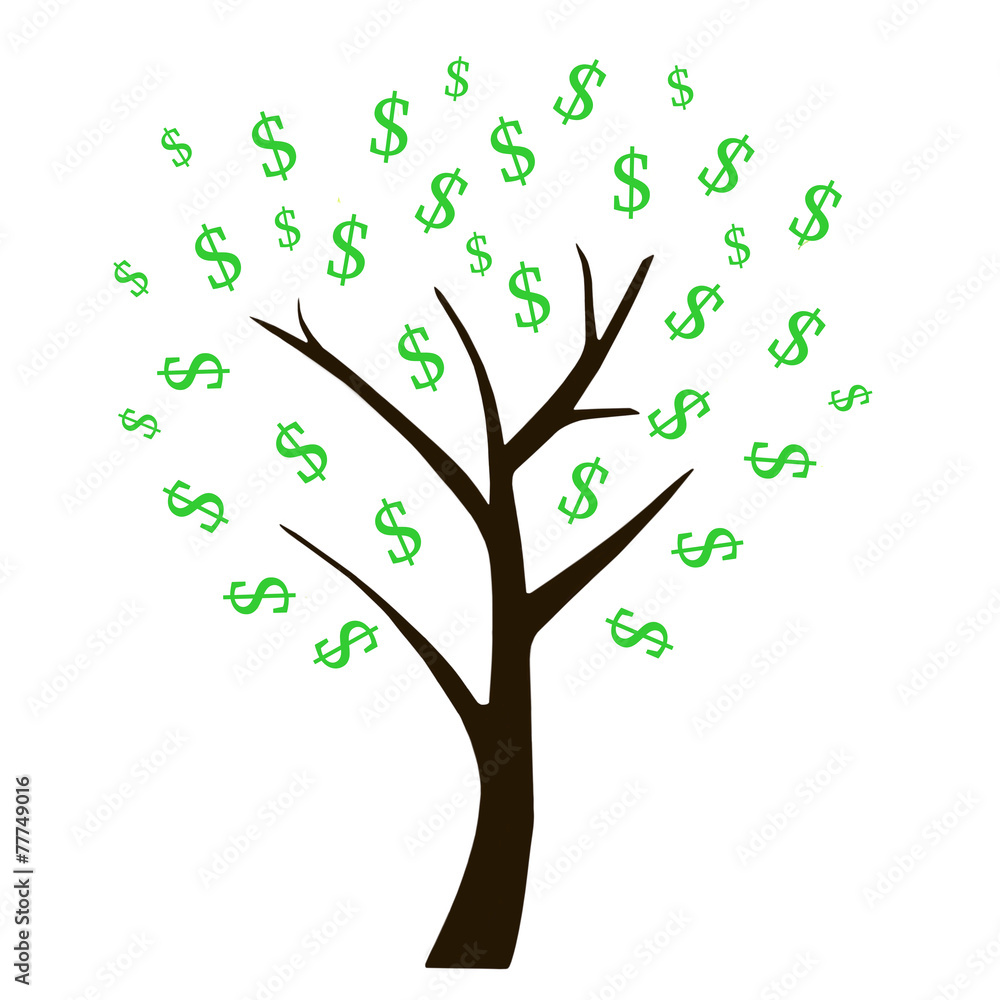 Money tree isolated on white