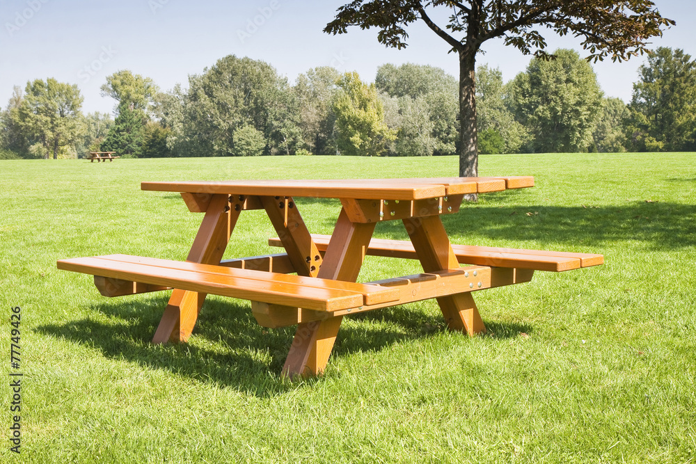 Obraz premium Picnic table in the park