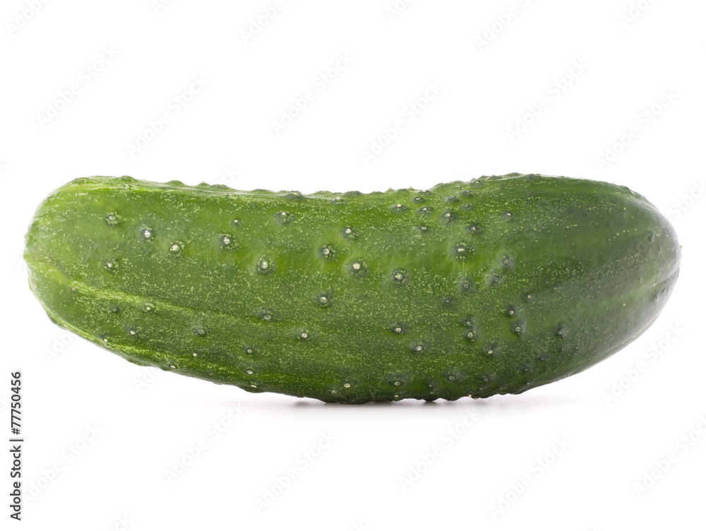 Cucumber vegetable isolated on white background cutout Cucumber vegetable isolated on white background cutout