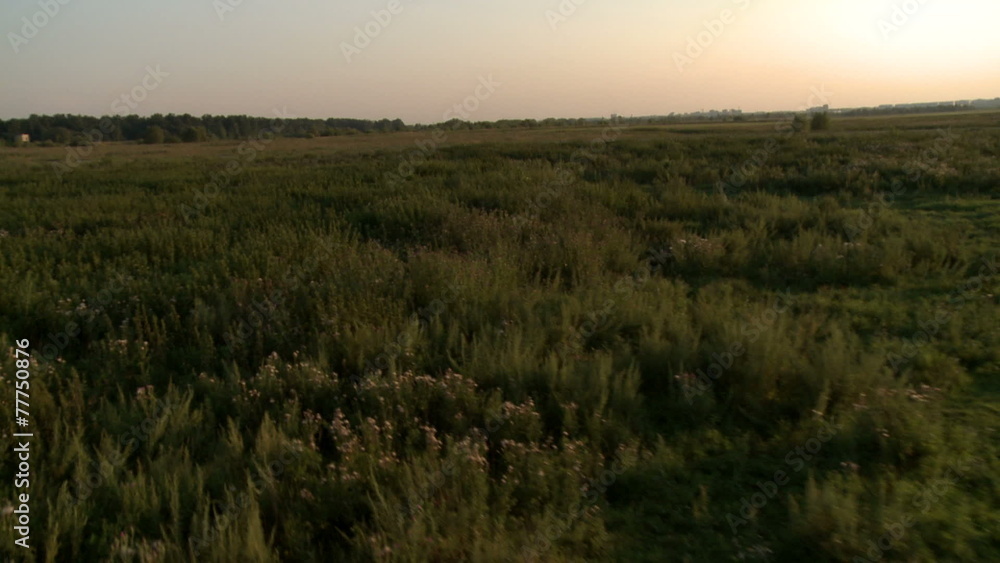 Summer landscape. Flying air balloons in distance Summer landscape. Flying air balloons in distance