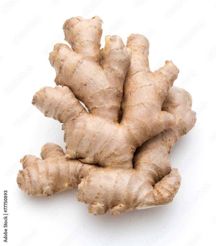 Fresh ginger root or rhizome isolated on white background cutout Fresh ginger root or rhizome isolated on white background cutout