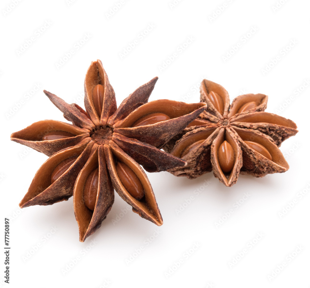 Star anise spice fruits and seeds isolated on white background c