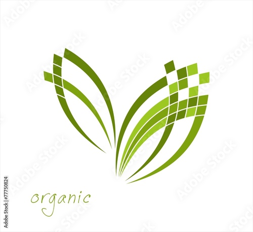 leaves, plant, icon , nature, Eco friendly business logo photo