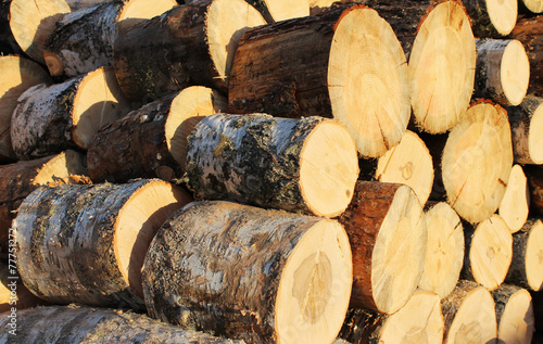 Background of  sawn logs  stacked in the woodpile