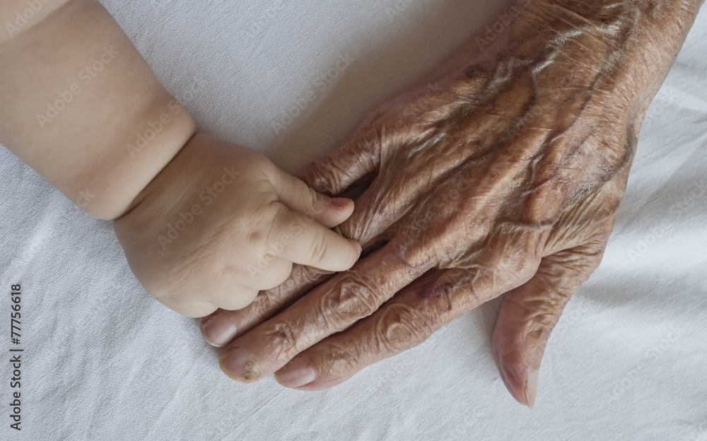 Fototapeta premium Grandparent and grand child