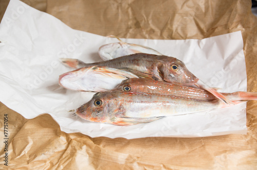 Schilderij op canvas Fresh fish  with red scales