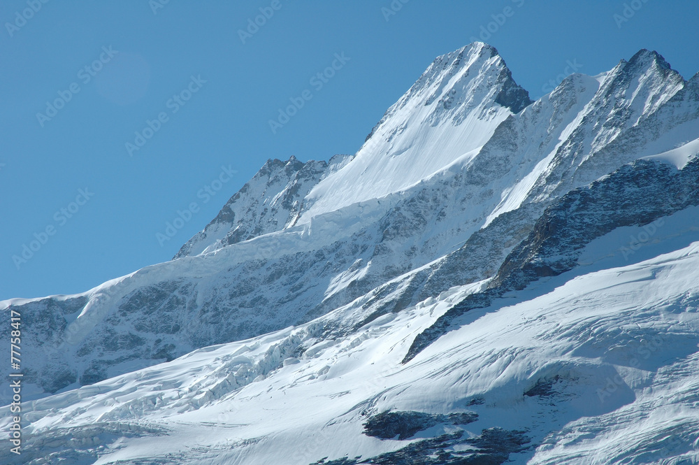 Obraz premium Glacier nearby Grindelwald in Alps in Switzerland