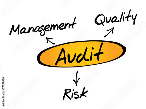 Audit diagram process, business concept