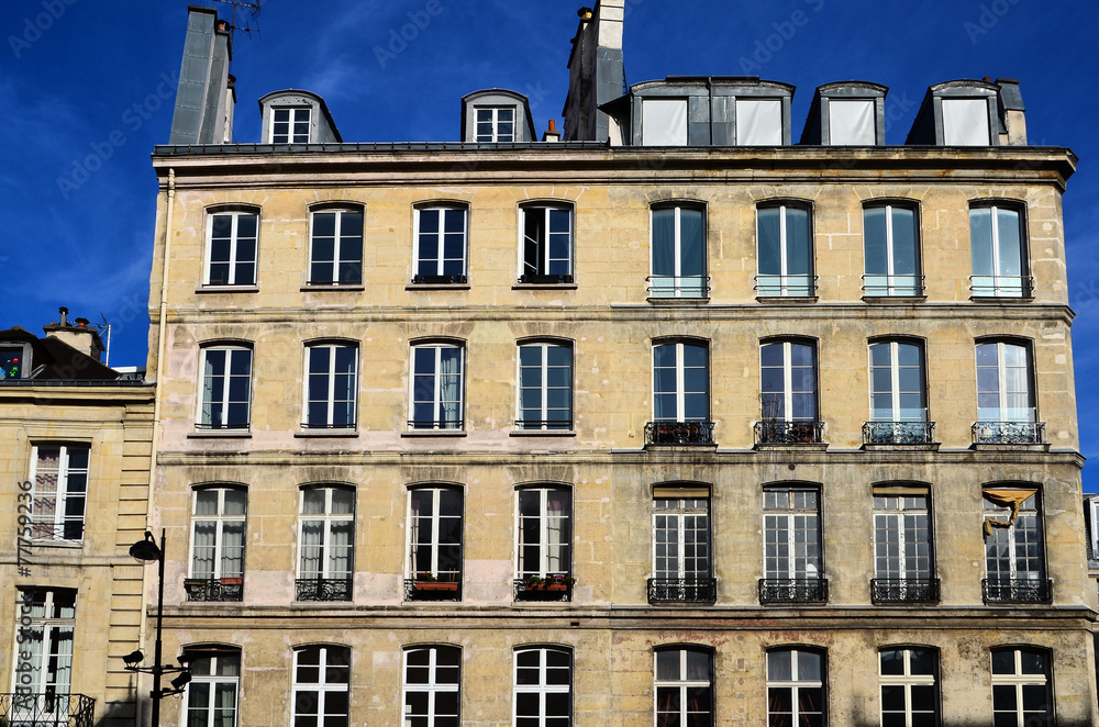 Fototapeta premium immobilier parisien