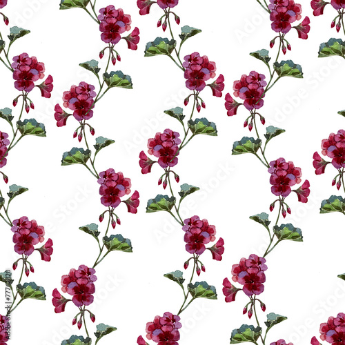 Fototapeta Naklejka Na Ścianę i Meble -  geranium, watercolor, pattern