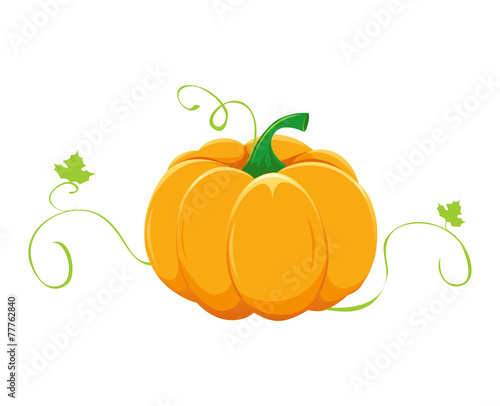 Pumpkin