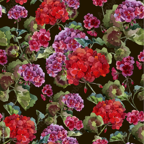 Fototapeta Naklejka Na Ścianę i Meble -  geranium, watercolor, pattern