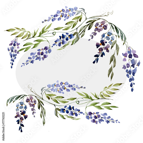 wisteria, wallpaper, watercolor