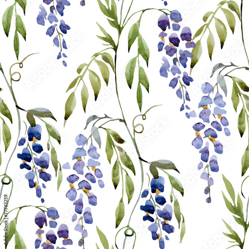 Fototapeta Naklejka Na Ścianę i Meble -  wisteria, wallpaper, watercolor