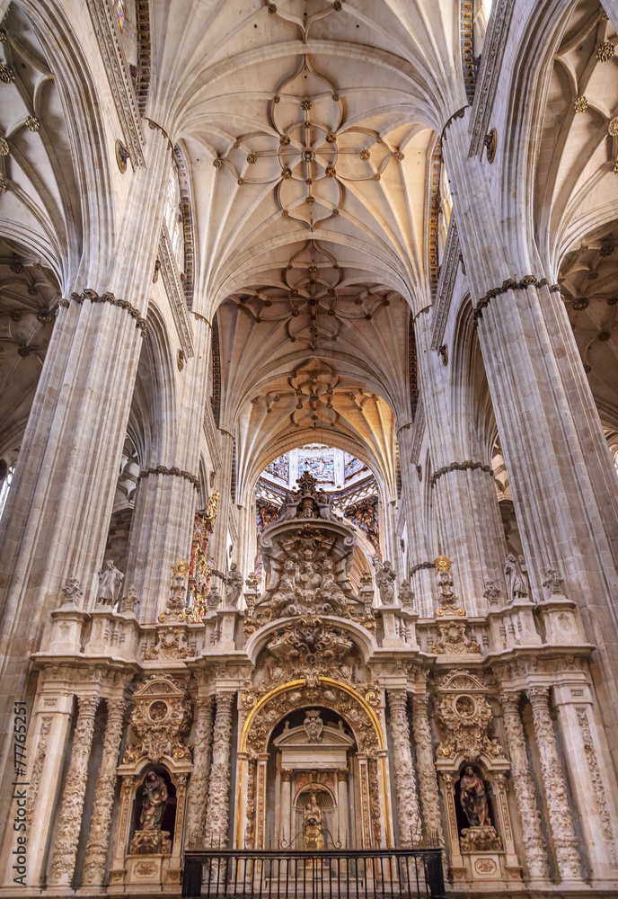 Stone Columns Statues New Salamanca Cathedral Spain