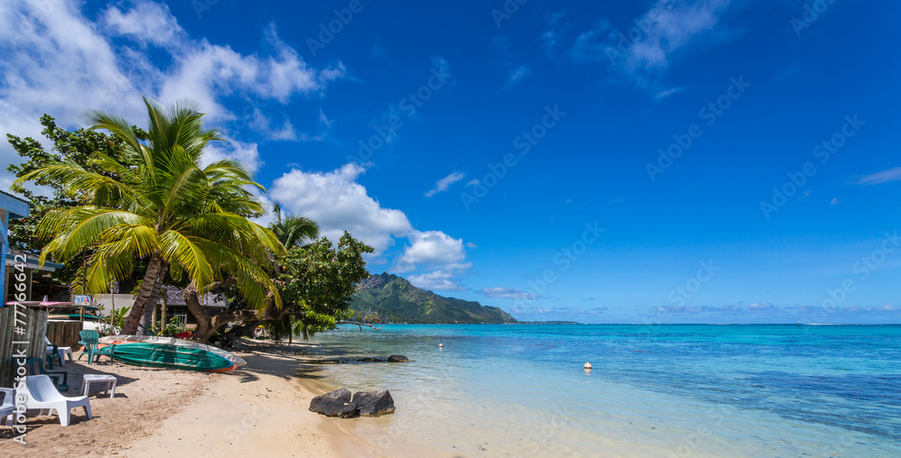 Fototapeta premium Plage polynésienne