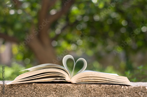 Book pages shaped like heart, in nature with tree bokeh. photo