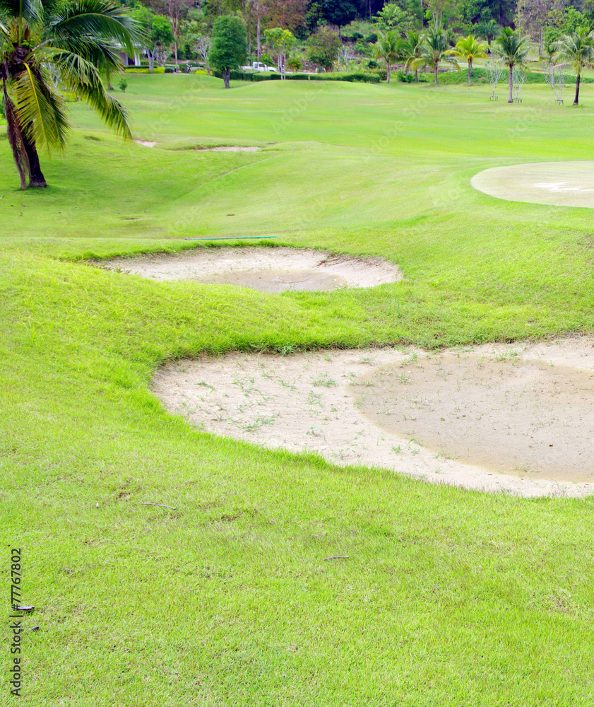 golf field golf field