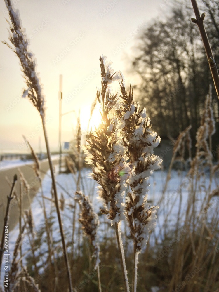 Obraz premium Sonnenuntergang in Kellenhusen