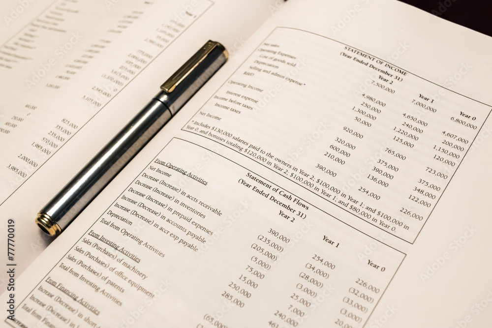 Standard Statement of Income with Pen Standard Statement of Income with Pen