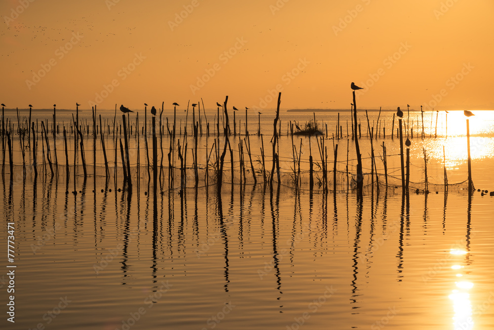 Sunset on Albufera lagoon