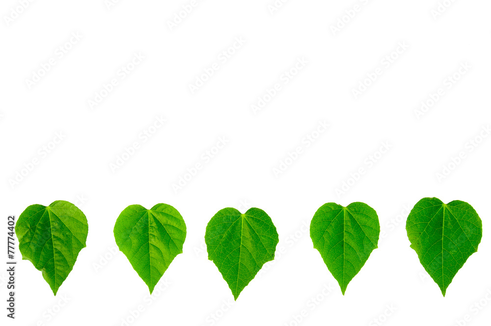 Heart shape leaf background Heart shape leaf background