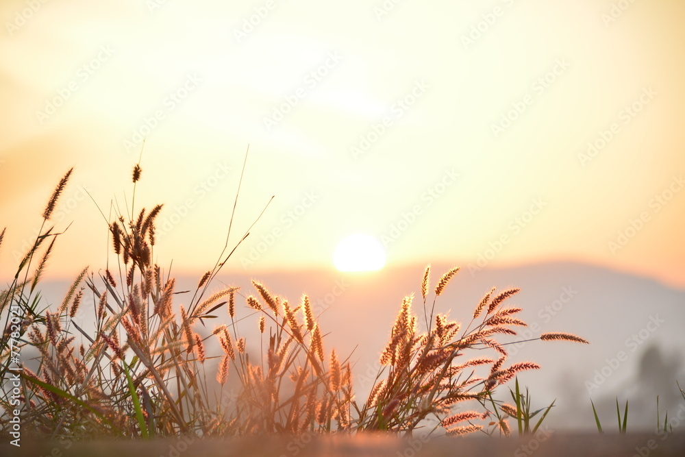 Sunrises Sunrises