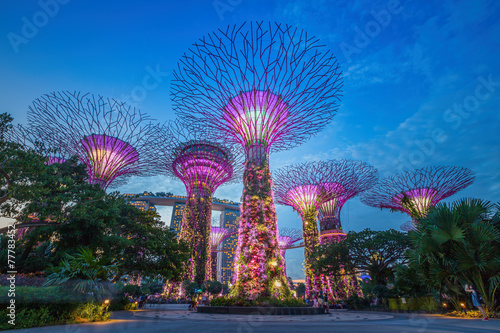 Fotografie, Tablou Night view of The Supertree Grove at Gardens by the Bay  in Sing
