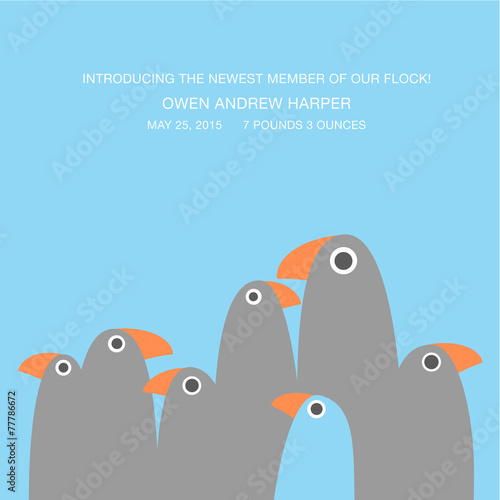 birth announcement  with funny birds