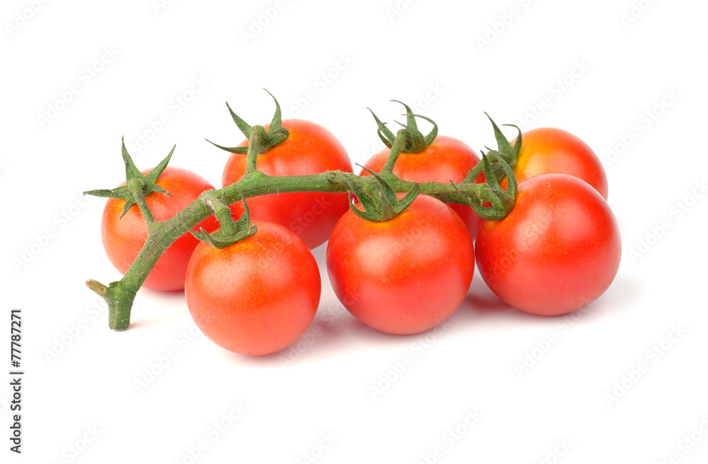 tomato isolated on white background