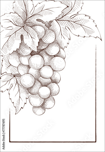 Wine label. Graphic vector illustration.