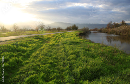 Green Field and River lit by Strong Sun Light