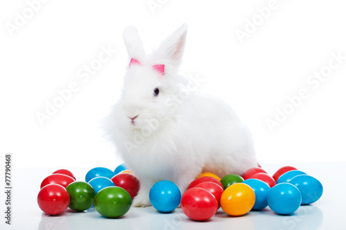 Cute white easter bunnz among colorful eggs © Ilike