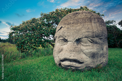 Olmec colossal head in the city of La Venta, Tabasco photo