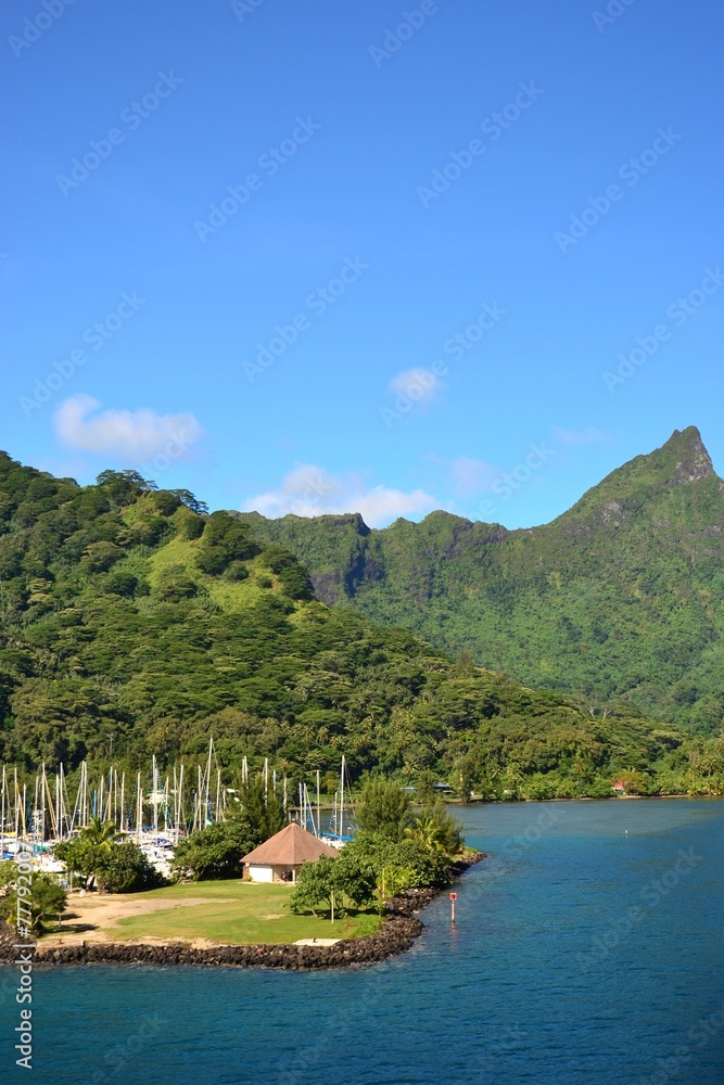 Fototapeta premium ILE DE MOOREA : PORT DE VAIARE