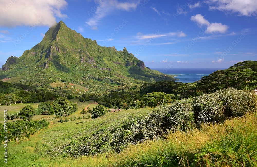 MOOREA :  MONT ROTUI