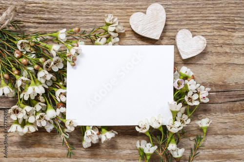 Blank card among chamelaucium flowers (waxflower)