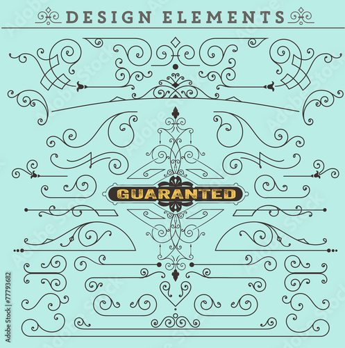 Vector. Vintage Ornaments Decorations Design Elements.  Vector s