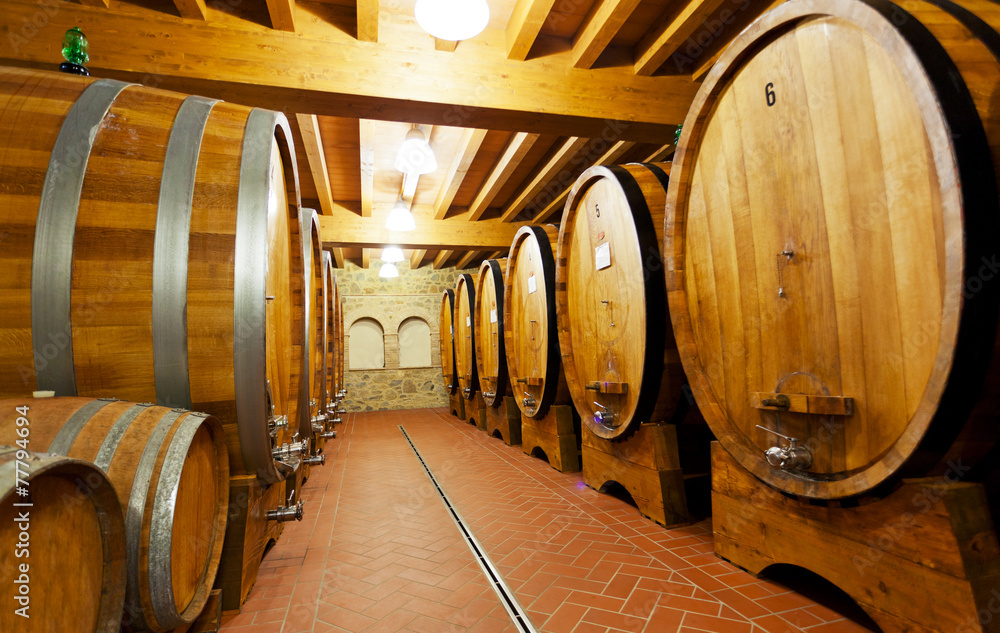 Wooden barrels with wine in a wine vault, Italy