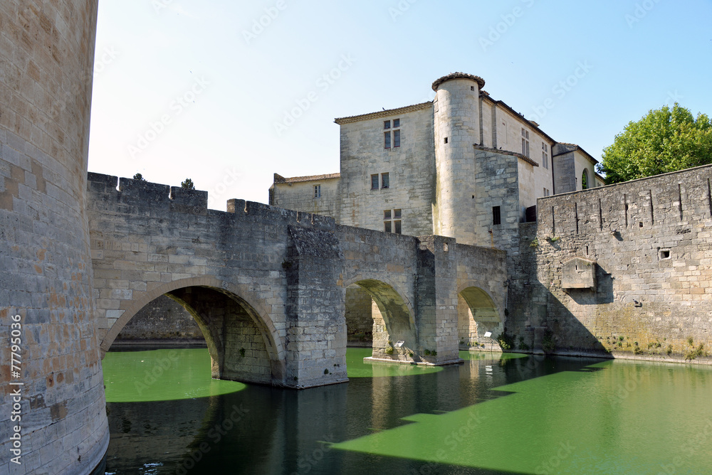 Wassergraben mit Festungsbrücke in Aigues-Mortes