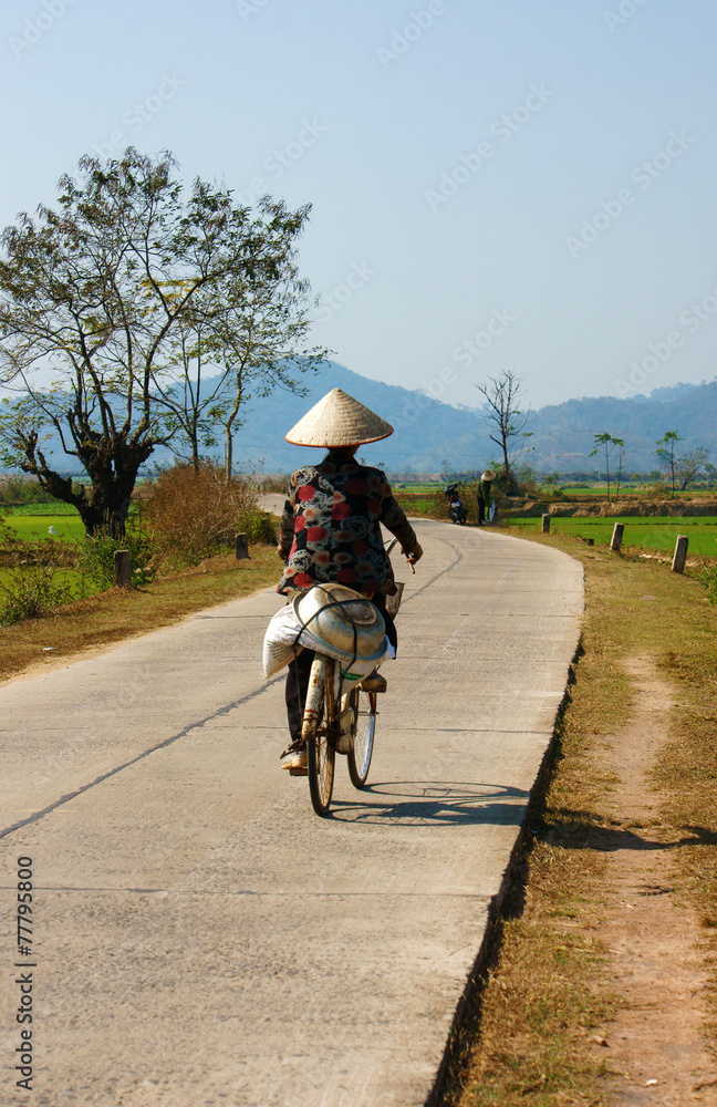 Fototapeta premium Vietnamese woman riding bicycle