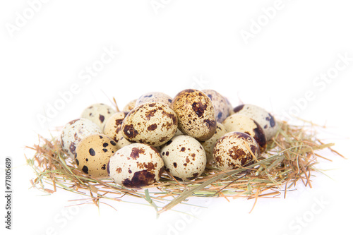 Eggs