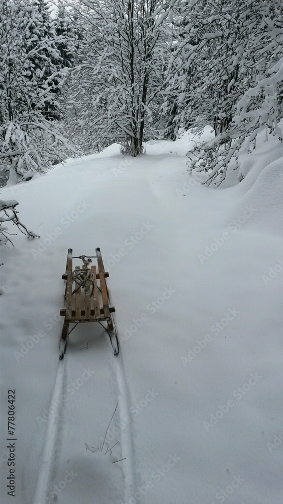 Fototapeta premium Schlitten im Schnee