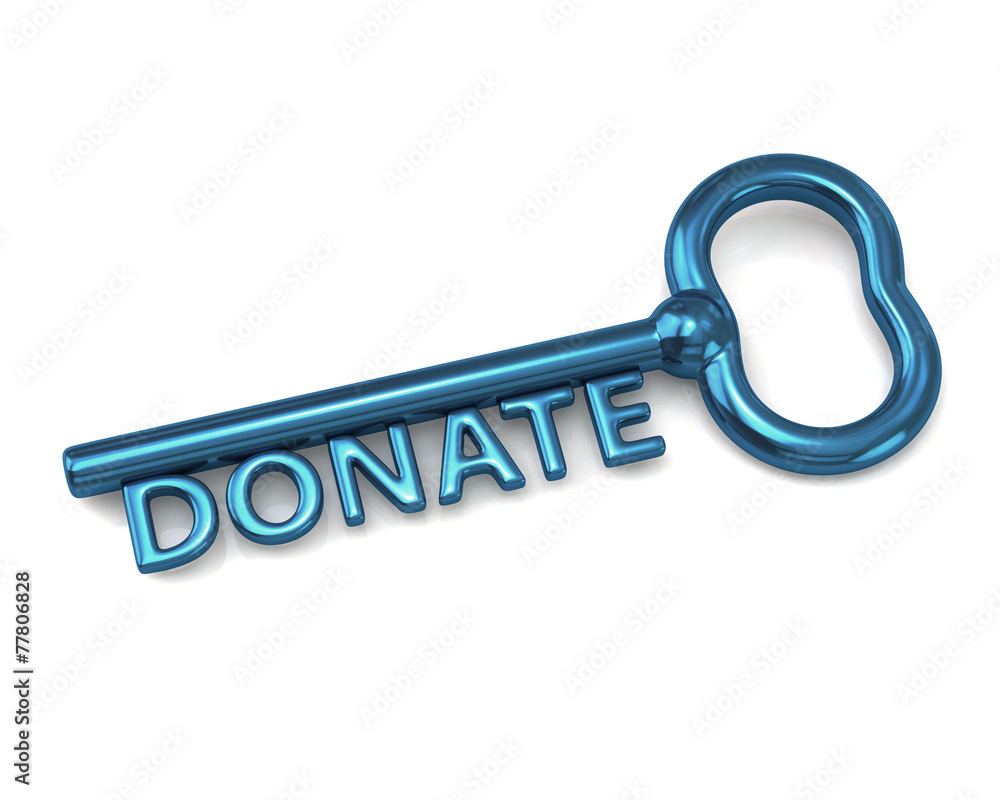 Blue key with word donate Blue key with word donate