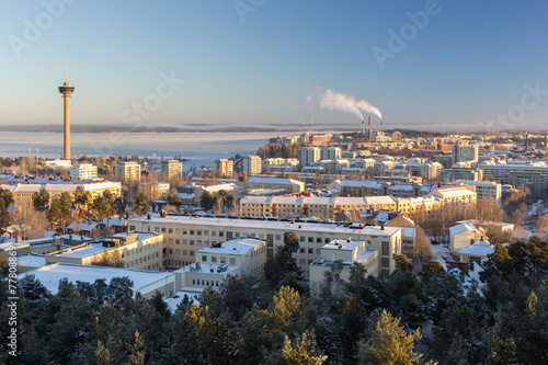 Billede på lærred View of Näsinneula observation tower and Tampere city