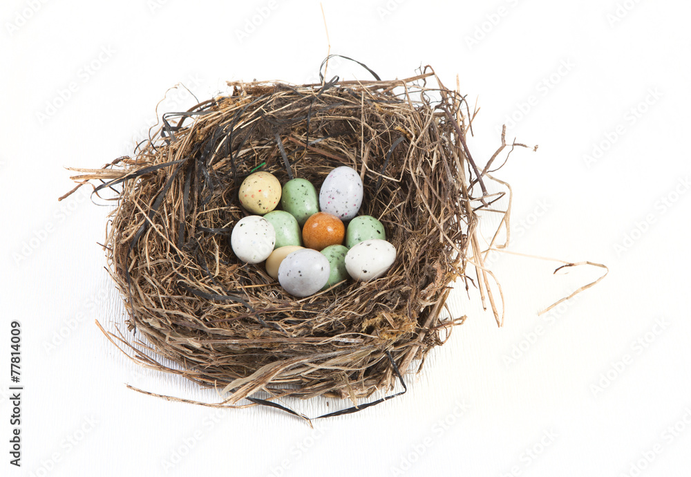 Nest mit Ostereiern Nest mit Ostereiern