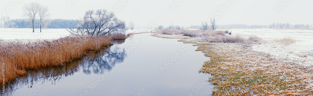 Winter landscape on Havel River (Germany) Winter landscape on Havel River (Germany)